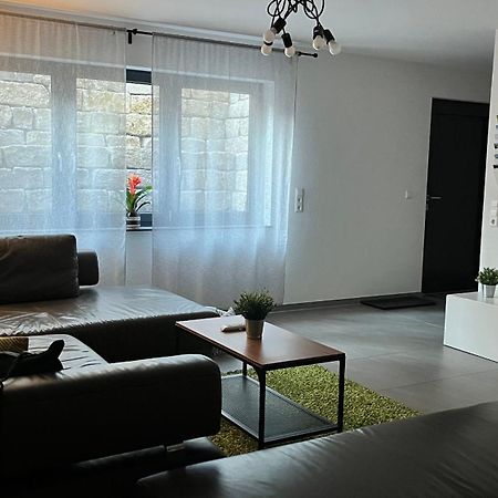 Fewo Souterrain Tt-Bodensee Тетнанг Екстериор снимка